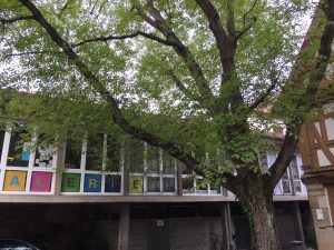 Galerie Spitalmühle und Nussbaum, Foto: KUNST KLOSTER