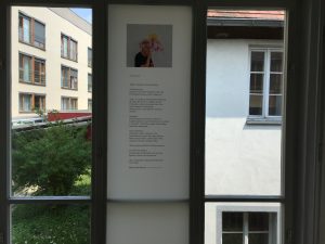 Fensterseite: Foliengalerie, Bio, Foto: KUNST KLOSTER