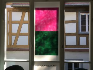 Fensterseite: Foliengalerie, Echinacea-Prozess. 2. Polarisierung,Foto: KUNST KLOSTER