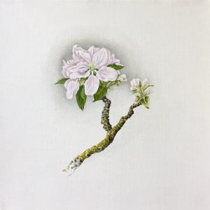 Natur Ikone, Apfel-Blüten-Zweig, Öl auf Leinwand, 30 x 30 cm, 2019