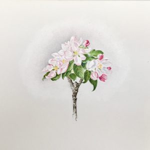 Natur Ikone, Apfel-Blüten-Zweig, Öl auf Leinwand, 30 x 30 cm, 2019