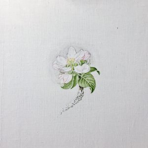 „work in progress“ 3 Natur Ikone Apfelblüten Zweig, Öl auf Leinwand, 30 x 30 cm, 2019
