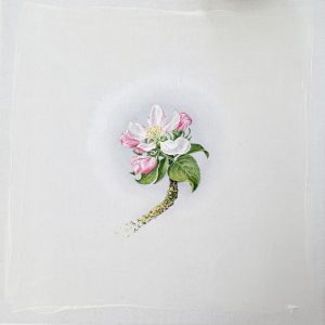 Projekt Apfel-Blüten-Ernte