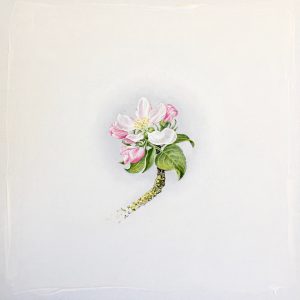 Natur Ikone, Apfel-Blüten-Zweig, Öl auf Leinwand, 30 x 30 cm, 2019