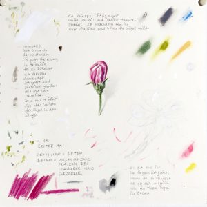 Projekt Apfel-Blüten-Ernte