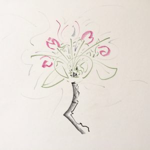 Projekt Apfel-Blüten-Ernte