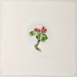 Natur Ikone, Apfel-Blüten-Zweig, Öl auf Leinwand, 30 x 30 cm, 2019