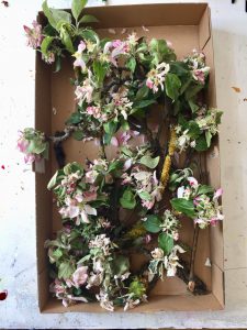 Dankes-Ritual, Tischinstallation, Apfel-Blüten-Arbeitsplatz, 2019