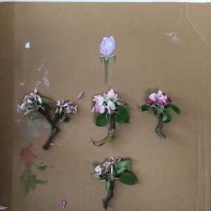 Projekt Apfel-Blüten-Ernte